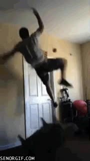 habitación,baloncesto,puerta,canasta pequeña,alley oop,mate