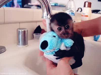 ba&ntilde;o,peluche,gracioso,mono,ba&ntilde;ar,grifo,agua