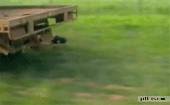 pato,vuelo,coche,carrera,camioneta,cap&oacute;,poliz&oacute;n