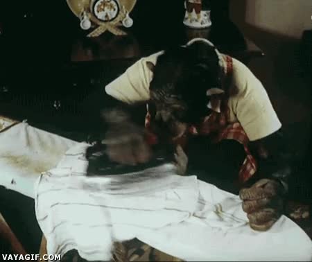 Enlace a La solución a mi falta de tiempo para las labores del hogar