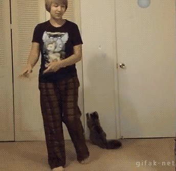 gato,ahorro,interruptor,luz,cerrar,abrir