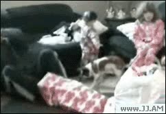 ni&ntilde;o,en toda la cara,pobre hombre,juego,tirar en la cara