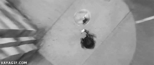 Casualidad,lluvia,gota,papel,tinta,manchas,destino,mojar