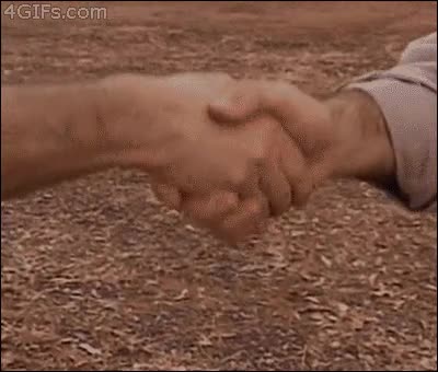 saludo,montaje,saludar,blancos,negros,racista