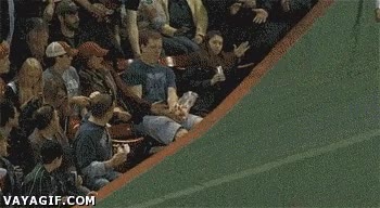 baseball,atrapada,jefe,gradas,home run,publico,caer en las manos,pelota
