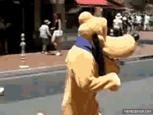 mu&ntilde;eco,disfrazado,perseguir,pluto,disney,world,goofy