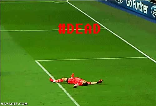 game over,portero,brasil,calor,sofocante,cesped,futbol,mundial