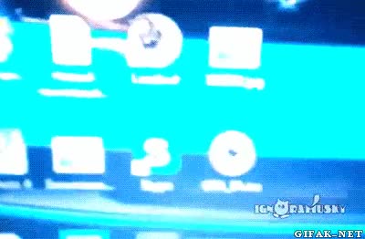 gato,vigilar,teletransportación,ordenador,portatil,velocidad,veloz