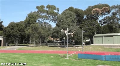 barra fija,barras,salto,gimnasta,p&eacute;rtiga,acrobacia