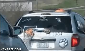 limpiaparabrisas,coche,machacar,mate,dunk,canasta