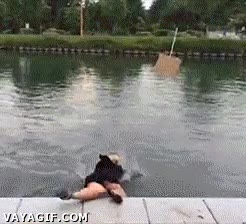 No estoy seguro de qué reivindica, pero ahora podría pedir unas espinillas nuevas rompete las espinillas si eso,caer,fail,resbalar,al agua,resbalon,tacones