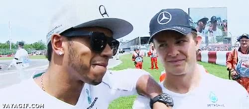 mercedes,formula 1,lewis hamilton,nico rosberg,apoyarse,mal rollito,quita bicho
