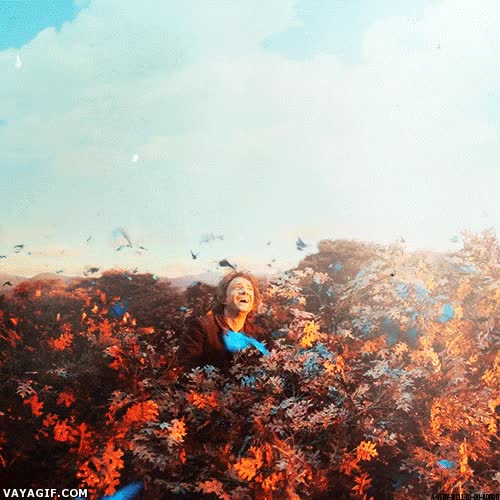 vacaciones,bilbo bolson,el hobbit,arbol,ver la luz