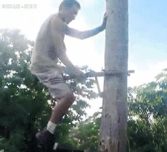 arbol,escalar,trepar,sistema,dispositivo