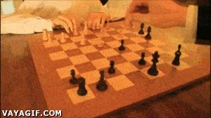 ajedrez,partida,juego,cabra