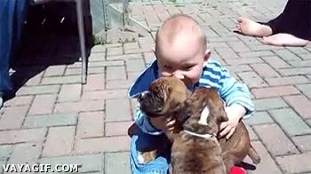 misterioso y desconocido,jugar,cachorro,comer,bebe,y no se refiere a frankfurts