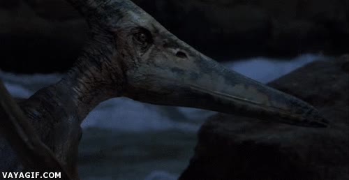 en realidad no se considera dinosaurio,III,megusta,chica,dinosaurio,park,jurassic,Pteranodon