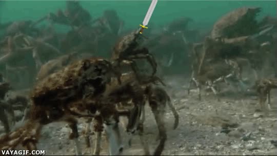 cangrejo,cargar,espada,llevar encima,montar,ejercito