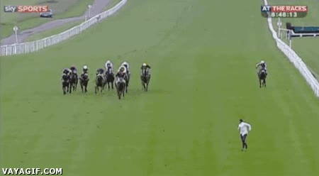 carrera de caballos,correr,espontaneo,saltar,pista