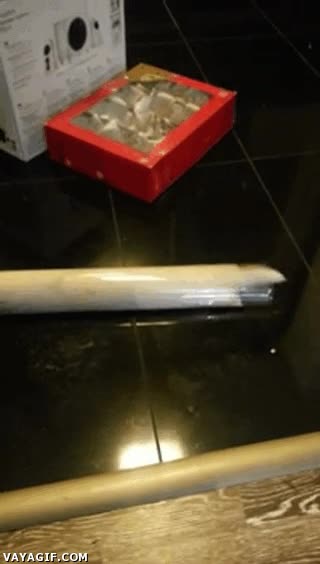 atrapado,fail,bolsa,comprimido,huron,escapar