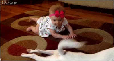 ni&ntilde;a,perro,gatear,arrastrar,ense&ntilde;ar,ejemplo