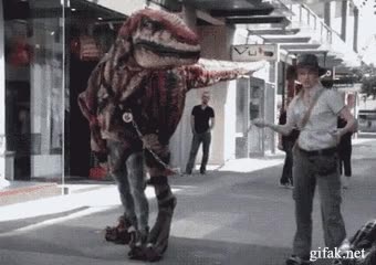 Enlace a Paseando a mi inofensiva mascota