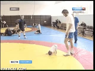 bebe,voltereta,ring,lucha libre,ni&ntilde;o,patada,jugar