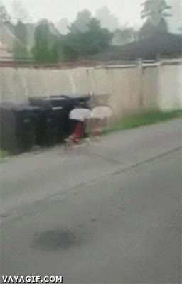 subirse en marcha,bajar,puñetazo,guantazo,bicicleta,hit and run