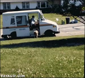 cartero,correo,perro,ir a buscar,traer