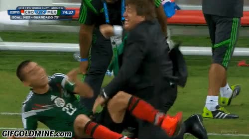 mexico,piojo herrera,miguel herrera,celebracion,futbol,mundial,brasil 2014