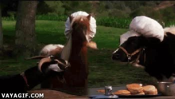 caballo,cocinero,tortitas,hamburguesas,o lo que sea
