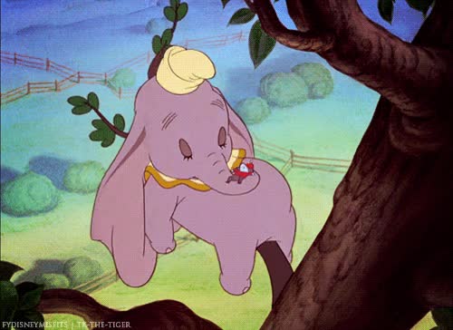 despertar,fragil,rama,resaca,borrachera,dumbo