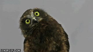 cine,alto,asiento,delante,no dejar ver,buho,espejo