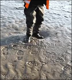 caminar,arena movidiza,wtf?,no newtoniano,tierra