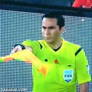 linier,arbitro,partido,futbol,bandera,mirar,tele,pantalla,sonreir