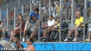 farsante,silla de ruedas,colarse,saltar al campo,espontaneo,paralitico,minusvalido