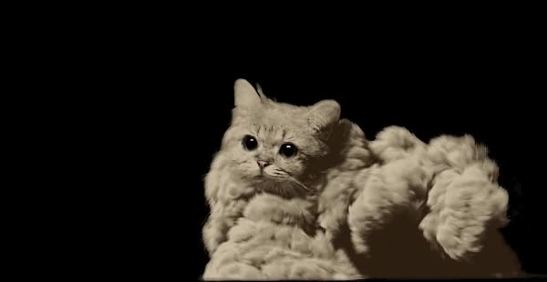 cabeza de gato,arena,humo,Gato,nube