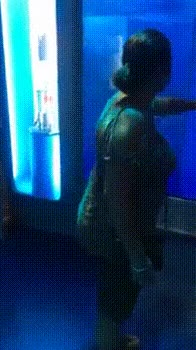 acuario,ataque,escualo,depredador,vidrio,pantalla,susto