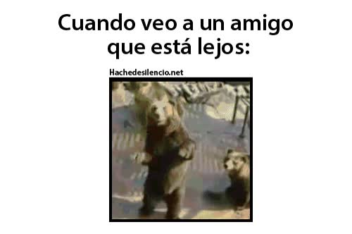 que alegría volver a verte,amigo,saludar,oso