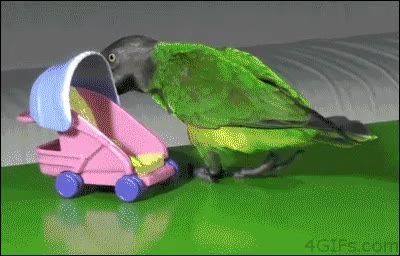 loro,carrito,carricoche,empujar,mu&ntilde;eco,bebe,cuna,mecer