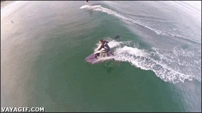 Un surfista pasando por encima de un tiburón, suerte que no ha caído al agua océano,ola,mar,surf,tiburón,tampoco era muy grande,paddle surf