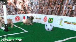 Morirás de ternura cuando veas a estos perritos y un gato jugar a fútbol mas emocionante que muchos partidos del mundial,gato,futbol,pug,que monada,Mundial mascotas 2014,perro