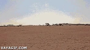 rescate,mam&aacute; elefante,Elefantito,correr