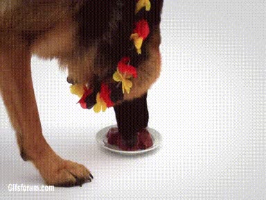 mundial2014,carne,pastor aleman,alemania,argentina