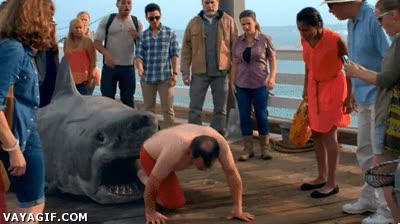 ba&ntilde;ador,ba&ntilde;ista,salir de dentro,tiburon