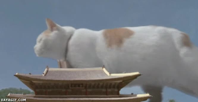 viajero,maleta,gato,paris,pisa,atenas,nueva york