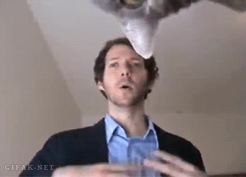 Gato,C&aacute;mara,Ver,Ojo,Filmar,Video,Grabar