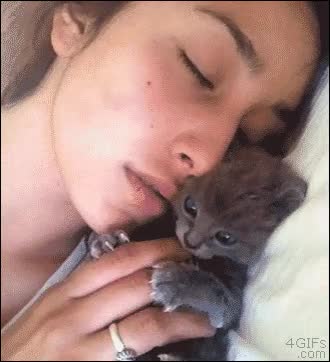 Jugar,Chica,Gato,Dedo,Comer,Morder,Tranquilos el gato sobrevivió