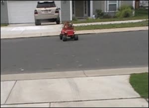 Marcha atr&aacute;s,Perro,Coche,Juguete,Conducir