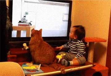 Aburrir,Ver,Tv,Gato,Ni&ntilde;o,Beb&eacute;,Sincronizaci&oacute;n,Tele